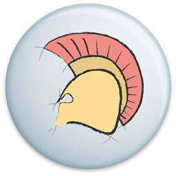 Delphi